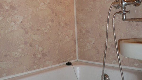 Стеновые пластиковые панели для ванной – Пластиковые стеновые панели для ванной комнаты: как выбрать, отделка своими руками, цены на панели ПВХ.