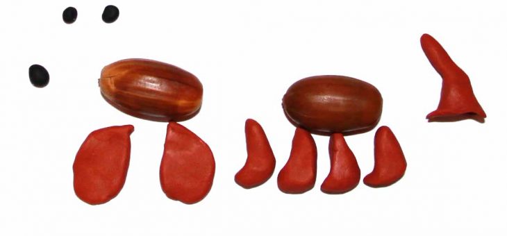 Такса из желудей