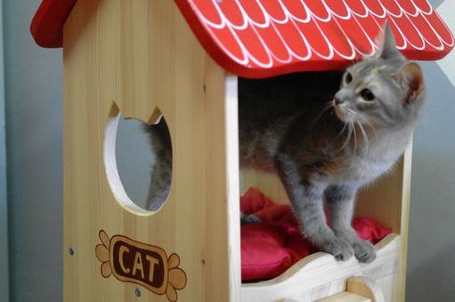 Ткань домика для кошки – Ткань для домика кошки – купить с доставкой по России и СНГ на Ярмарке Мастеров