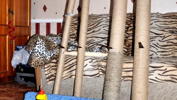 Уголки для кошек – Игровой комплекс для кошек своими руками. Как делать игровые уголки для кошек