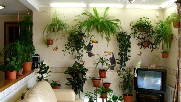 В интерьере гостиной цветы фото – Комнатные Растения в Интерьере Квартиры и Дома, Оформление и Уход