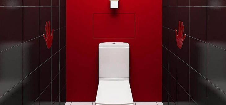 В туалете ремонта фото – с чего начать и после чего начинать, как сделать своими руками, идеи оформления санузла в квартире