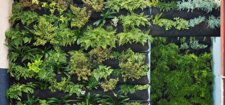 Вертикальное озеленение участка – Дизайн вертикального озеленения: дома, в квартире, своими руками. Растения для вертикального озеленения.. Вертикальное озеленение своими руками