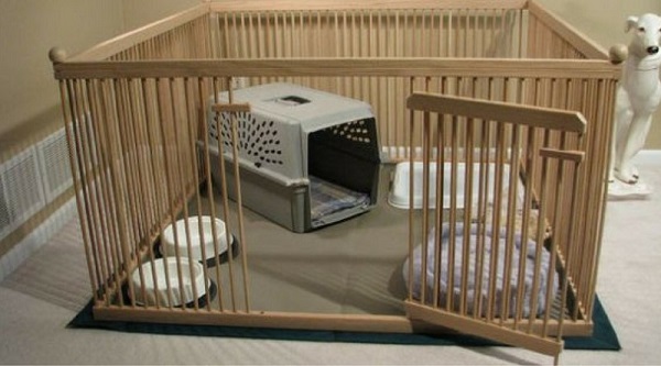 Вольер для щенков своими руками в квартиру – размеры, как сделать комнатный манеж своими руками, а также как построить красивый загон для маленьких питомцев?