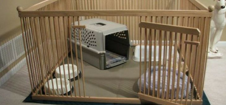 Вольер для собаки фото домашний