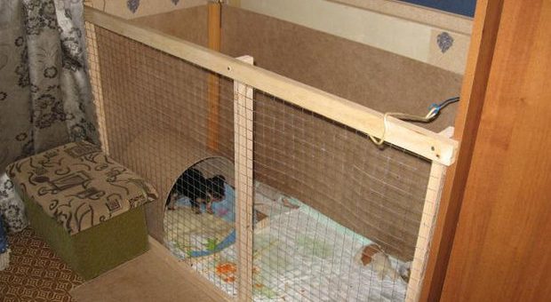 Вольер своими руками для собак в квартиру