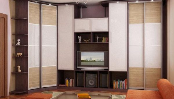Встроенный шкаф купе в гостиную – дизайн и фото, угловая мебель в зал, интерьер комнаты на всю стену, распашные образцы