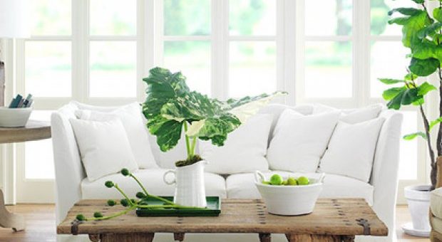 Зелень в интерьере – Зелень в интерьере, с какаими цветами лучше сочетать и где использовать