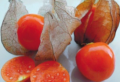 Земляничный физалис фото