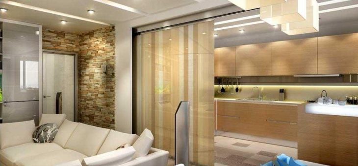 Зонирование гостиная и кухня фото